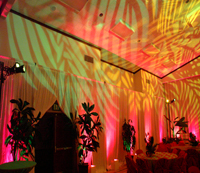 Tropical Wedding- 2